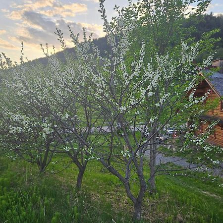 Le Repaire Viking Bed & Breakfast Sainte-Rose-du-Nord Eksteriør bilde
